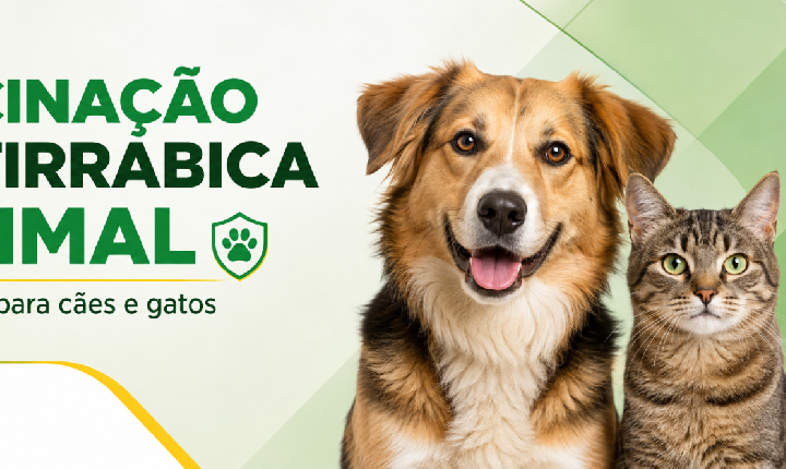 Juína inicia vacinação antirrábica na zona rural e reforça orientações aos tutores