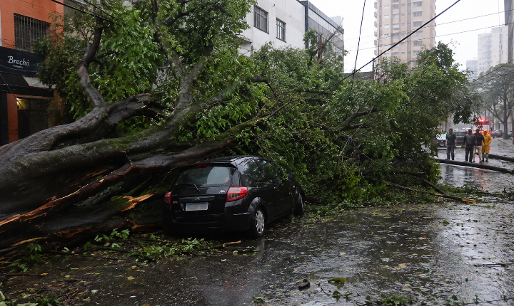 Ventania deixa mortos e provoca prejuízos em diversas cidades de São Paulo