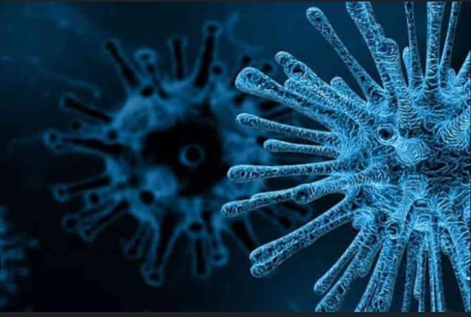 Homem morre nos EUA por bactéria que causou a 'Grande Peste' na Idade Média…