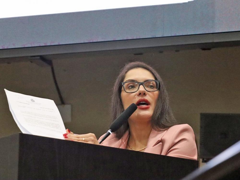 Janaina Riva reforça pedido de suspensão do CAR digital e cobra correções urgentes no sistema