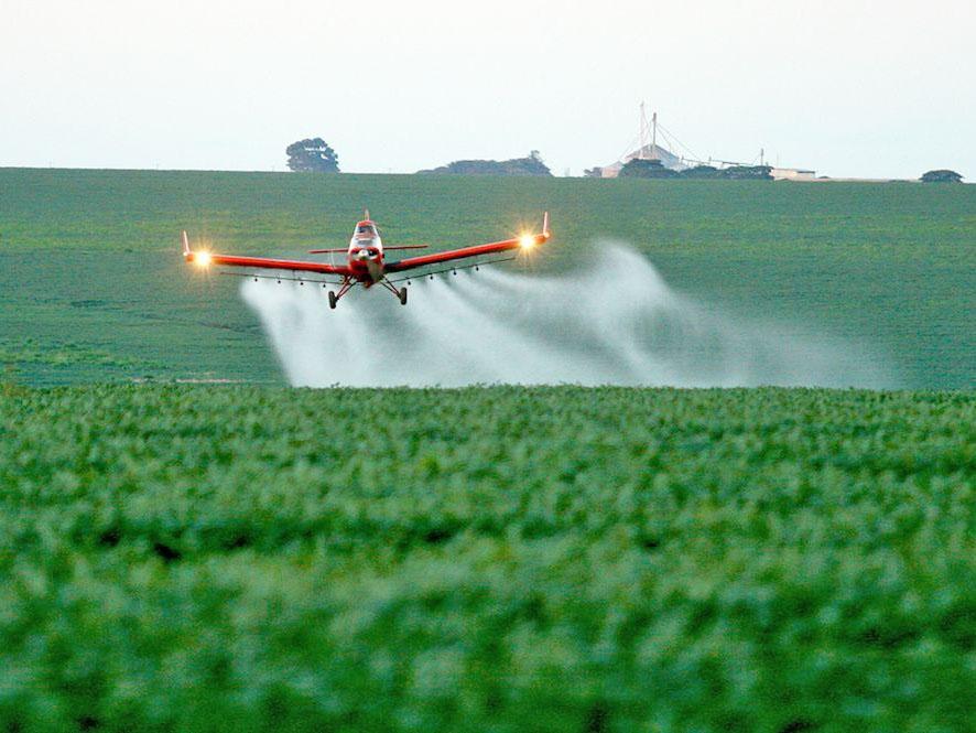 Tribunal marca audiência em MT para debater possível proibição do glifosato por impactos na saúde