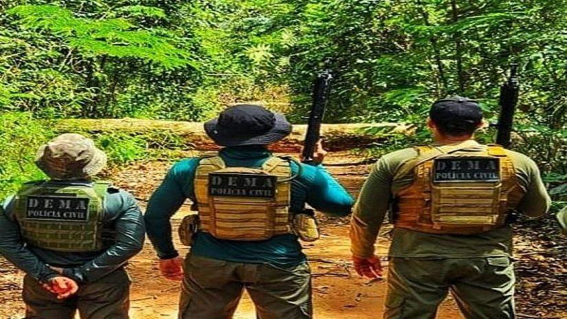Polícia Civil apreende mais de R$ 134 milhões em carga de madeira ilegal no primeiro semestre de 2025
