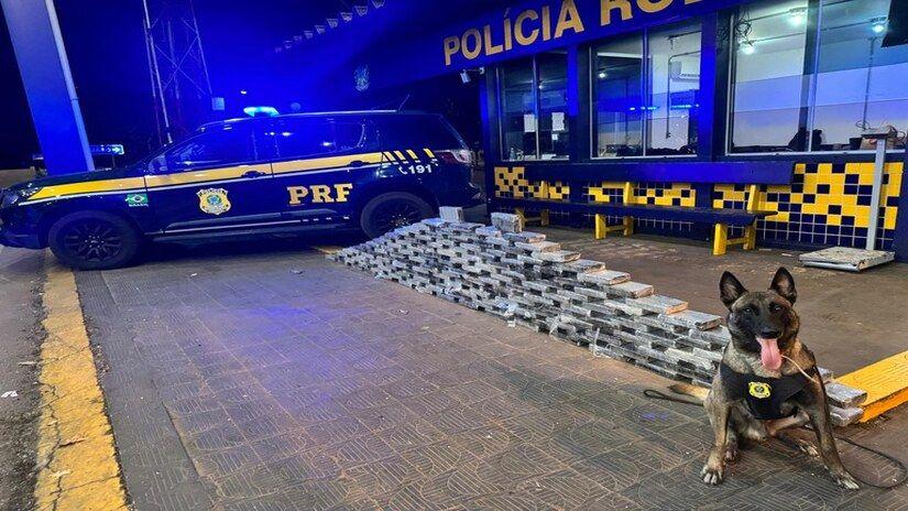 PRF apreende 176 kg de cocaína em compartimento oculto de caminhão na BR-364 em Rondonópolis