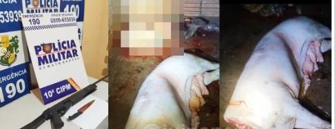 Três pessoas da mesma família são presas por furto de porco e posse ilegal de arma de fogo em Aripuanã