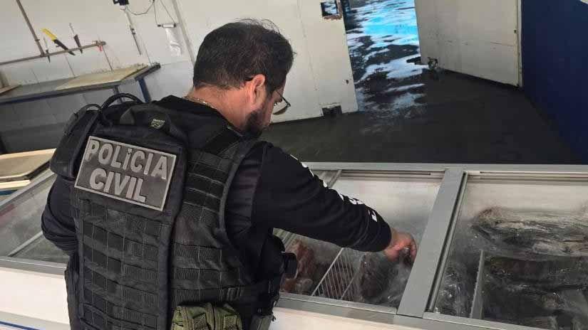 Ação integrada apreende mais de 2 toneladas de pescado irregular