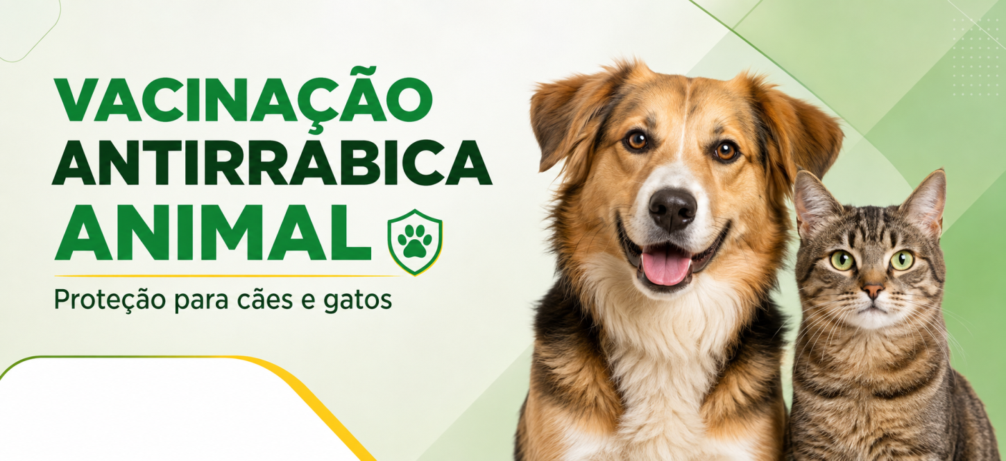 Juína inicia vacinação antirrábica na zona rural e reforça orientações aos tutores